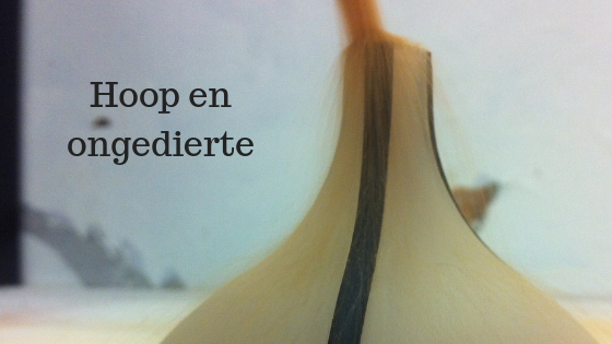 Hoop en ongedierte