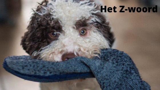 Het Z-woord